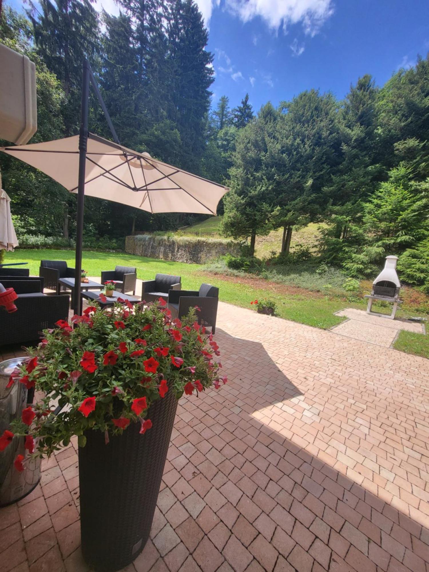 Apartamenty Willove Wzgorze Duszniki Zdroj Exterior photo
